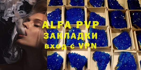 амф Алексин