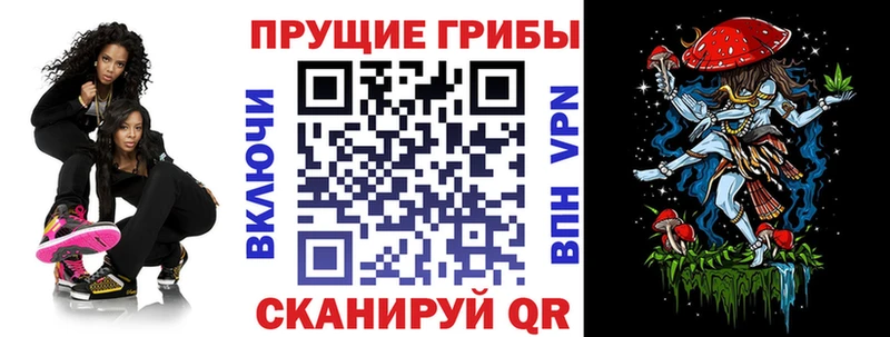 Псилоцибиновые грибы GOLDEN TEACHER  Пыталово 
